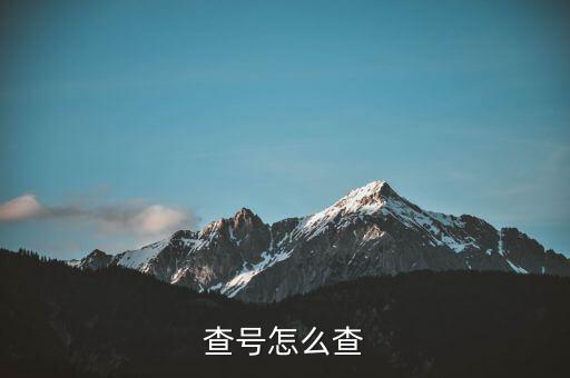 查號怎么查