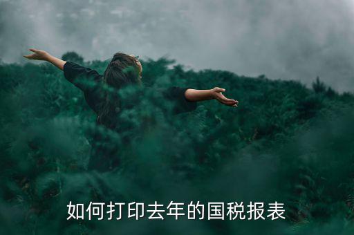 如何打印去年的國稅報表