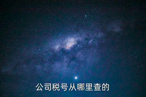 公司稅號從哪里查的