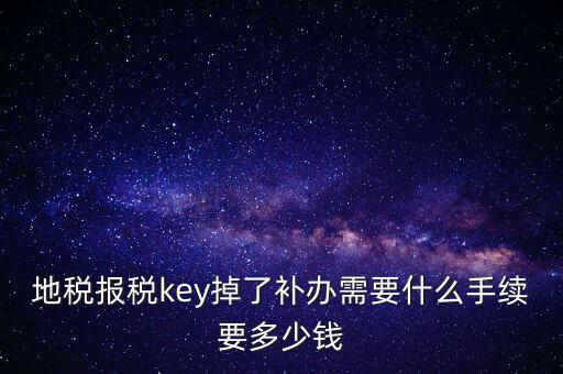 地稅報(bào)稅key掉了補(bǔ)辦需要什么手續(xù)要多少錢