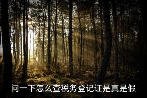 問一下怎么查稅務(wù)登記證是真是假