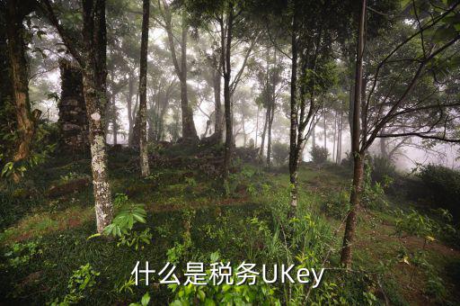 稅務(wù)局ukey是什么，什么是稅務(wù)UKey