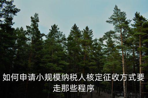 如何申請小規(guī)模納稅人核定征收方式要走那些程序