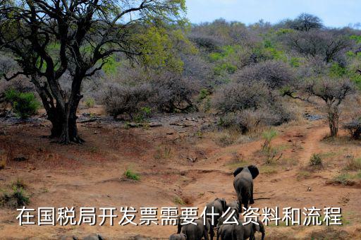 國稅局批票如何辦理，在國稅局開發(fā)票需要什么資料和流程