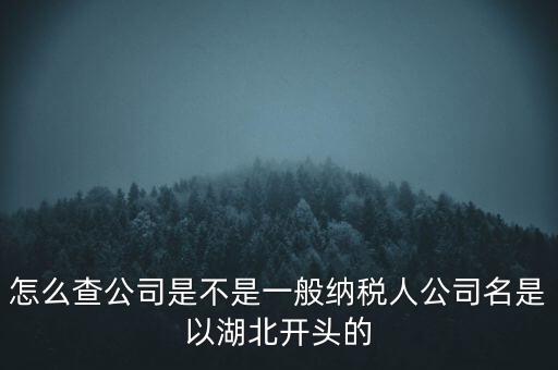 如何查詢企業(yè)是否是一般納稅人，怎么查公司是不是一般納稅人公司名是以湖北開頭的