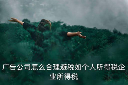 廣告公司怎么合理避稅如個人所得稅企業(yè)所得稅