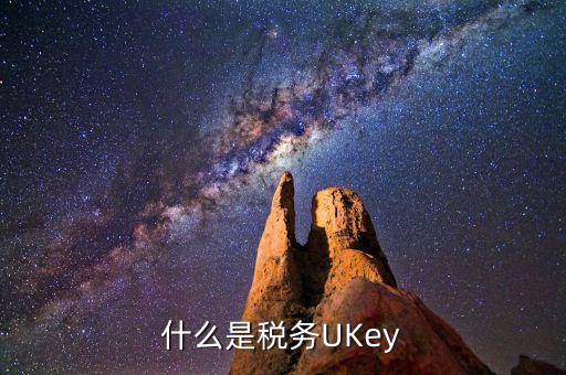 什么是稅務(wù)UKey