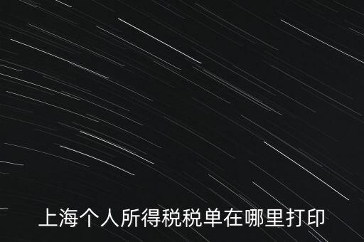 上海個(gè)人所得稅稅單在哪里打印