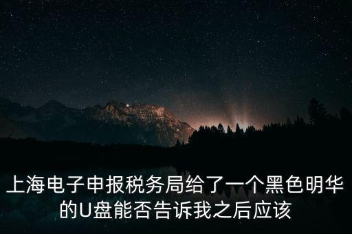 如何安裝上海網(wǎng)上電子申報(bào)系統(tǒng)，上海網(wǎng)上報(bào)稅u盾如何安裝