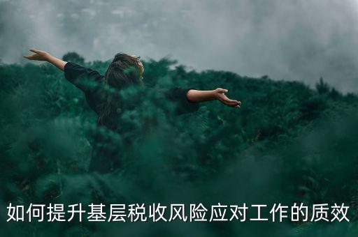 如何提升基層稅收風(fēng)險應(yīng)對工作的質(zhì)效