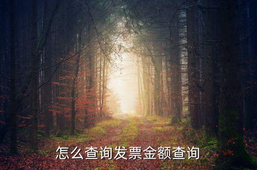 怎么查詢發(fā)票金額查詢