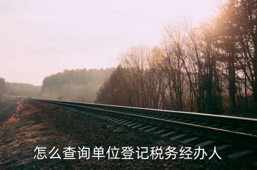 怎么查詢單位登記稅務經(jīng)辦人