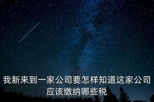 如何查稅種，我新來到一家公司要怎樣知道這家公司應(yīng)該繳納哪些稅