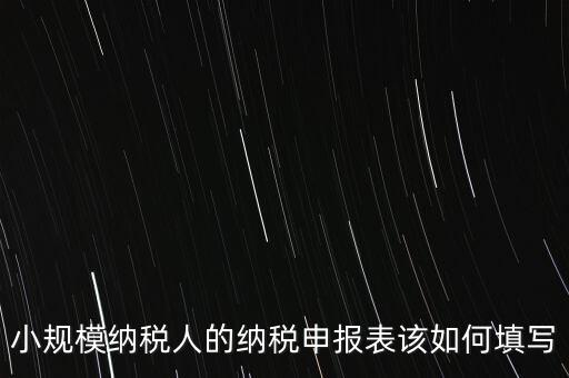 小規(guī)模納稅人的納稅申報表該如何填寫