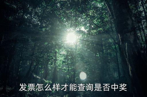 發(fā)票怎么樣才能查詢是否中獎