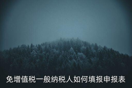 免稅如何填寫申報(bào)表，免稅企業(yè)如何填報(bào)增值稅納稅申報(bào)表