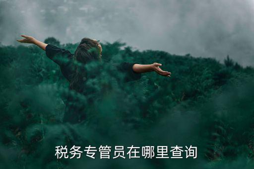 北京如何查詢稅務專管員，如何在網(wǎng)上查詢國稅專管員