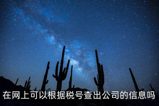 在網上可以根據稅號查出公司的信息嗎