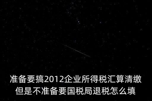 準(zhǔn)備要搞2012企業(yè)所得稅匯算清繳但是不準(zhǔn)備要國(guó)稅局退稅怎么填