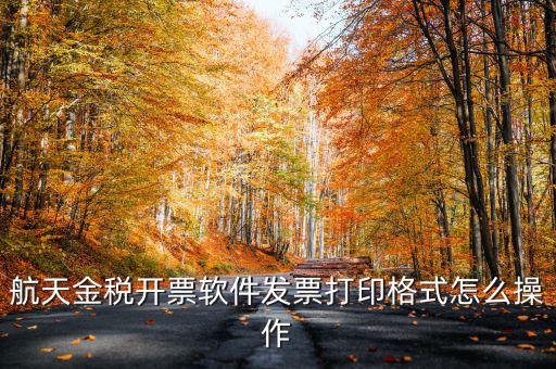 航天金稅開票軟件發(fā)票打印格式怎么操作