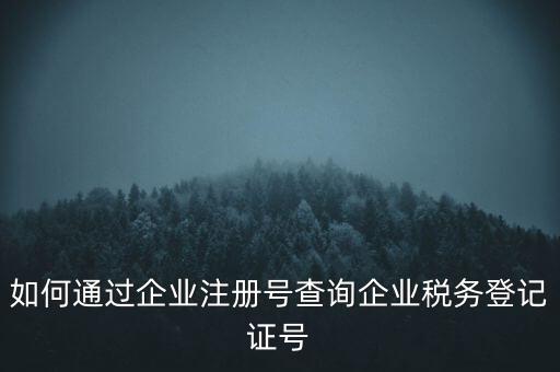 如何查詢公司稅務(wù)編號查詢系統(tǒng)，公司的稅務(wù)登記證號怎么查詢