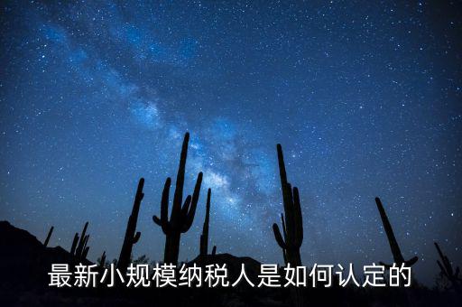 最新小規(guī)模納稅人是如何認(rèn)定的