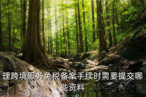 理跨境服務(wù)免稅備案手續(xù)時需要提交哪些資料