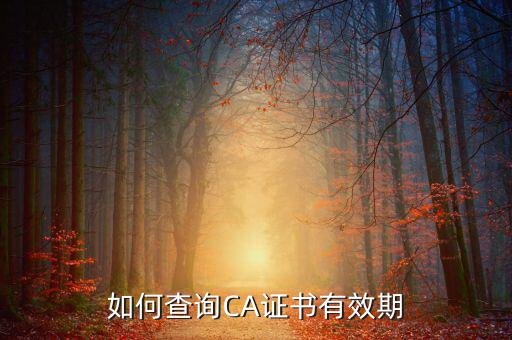 地稅ca如何查詢有效期，從哪里查地稅CA證書過期沒