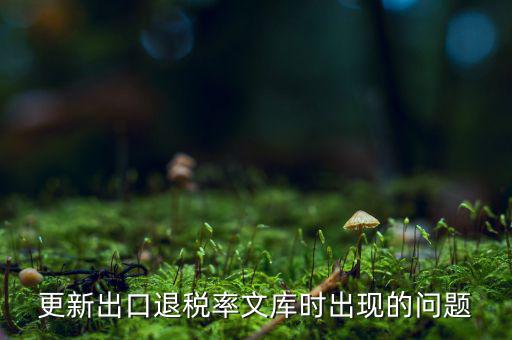 出口退稅文庫如何更新，請問各位出口退稅系統(tǒng)里的代碼庫怎么更新啊怎么老沒反應的呢