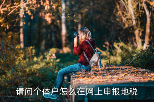 請(qǐng)問(wèn)個(gè)體戶怎么在網(wǎng)上申報(bào)地稅