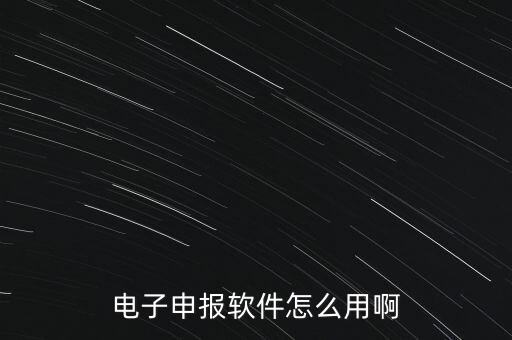 電子申報(bào)軟件怎么用啊