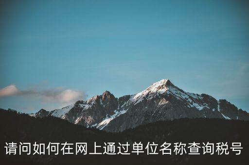 稅號如何查詢網(wǎng)站，怎么在網(wǎng)上查企業(yè)稅號