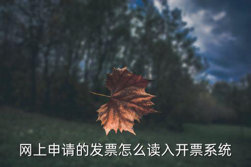 網(wǎng)上申請(qǐng)的發(fā)票怎么讀入開(kāi)票系統(tǒng)