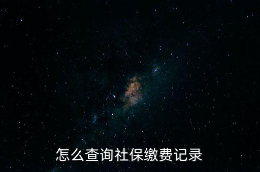 如何在地稅網(wǎng)繳納社保查詢，單位交了社保費(fèi)在地稅網(wǎng)怎么查詢