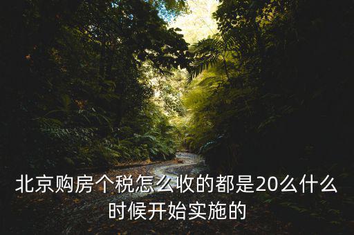 北京購房個(gè)稅怎么收的都是20么什么時(shí)候開始實(shí)施的