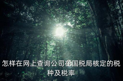 怎樣在網(wǎng)上查詢公司在國(guó)稅局核定的稅種及稅率