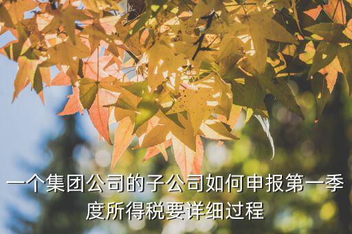 一個集團公司的子公司如何申報第一季度所得稅要詳細過程