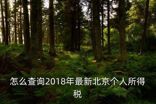 北京如何查詢個(gè)稅完稅證明，怎么查詢2018年最新北京個(gè)人所得稅