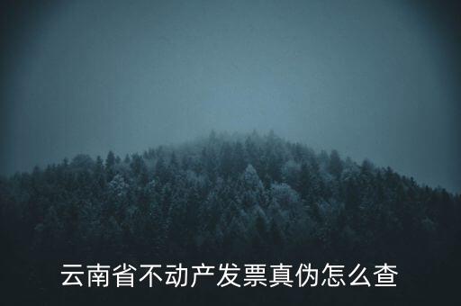 不動產(chǎn)統(tǒng)一發(fā)票如何查詢真?zhèn)?，銷售不動產(chǎn)統(tǒng)一發(fā)票真假怎么辨別