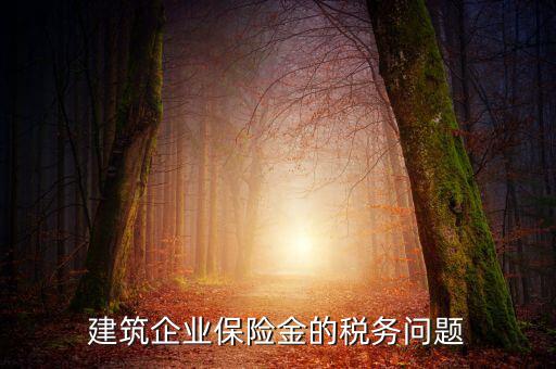 保險(xiǎn)公司稅務(wù)管理如何處理，建筑企業(yè)保險(xiǎn)金的稅務(wù)問題