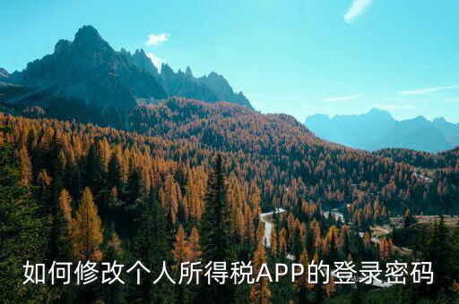 如何修改個(gè)人所得稅APP的登錄密碼