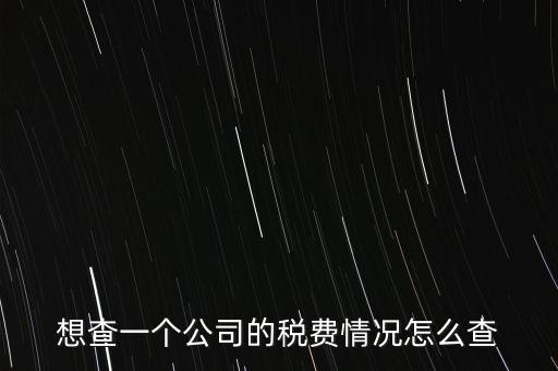 如何查詢公司納稅記錄查詢，想查一個(gè)公司的稅費(fèi)情況怎么查