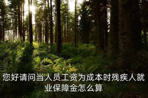 您好請問當(dāng)人員工資為成本時殘疾人就業(yè)保障金怎么算