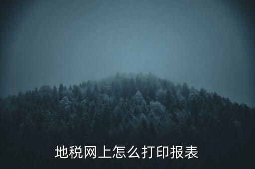 地稅網上怎么打印報表