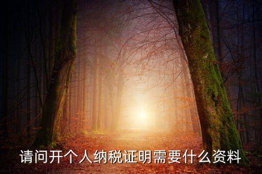 請(qǐng)問(wèn)開(kāi)個(gè)人納稅證明需要什么資料