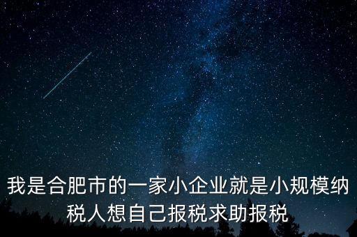 我是合肥市的一家小企業(yè)就是小規(guī)模納稅人想自己報(bào)稅求助報(bào)稅