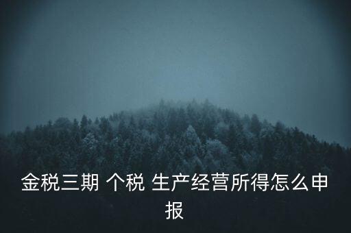 金稅三期 個稅 生產(chǎn)經(jīng)營所得怎么申報