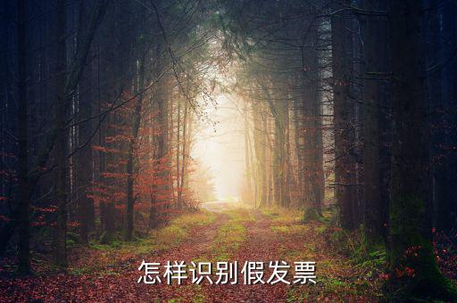 如何驗(yàn)證假發(fā)票，怎么識(shí)別假發(fā)票啊