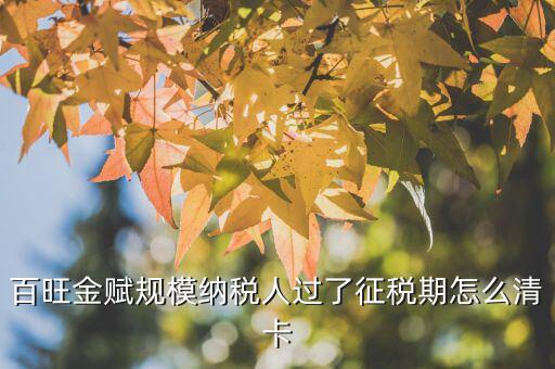 百旺金賦規(guī)模納稅人過了征稅期怎么清卡