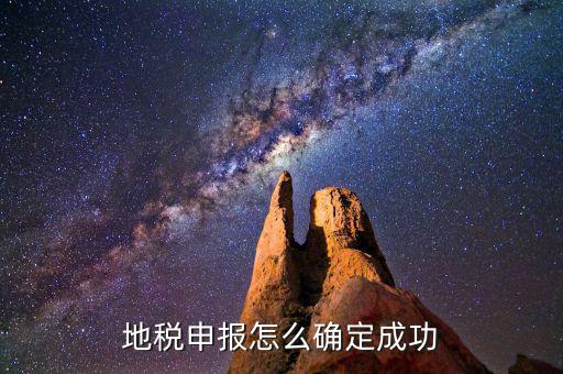 地稅申報怎么確定成功